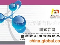 提供企業(yè)管理咨詢服務(wù)